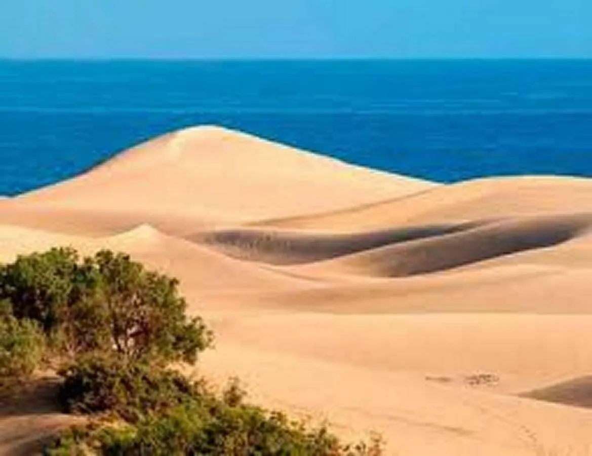 Bungalow Dunas&Sea Maspalomas 0*, Maspalomas (Gran Canaria)